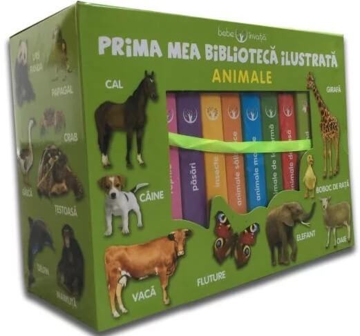 Cutie. Prima mea biblioteca ilustrata. Animale. Bebe invata (8 carticele)